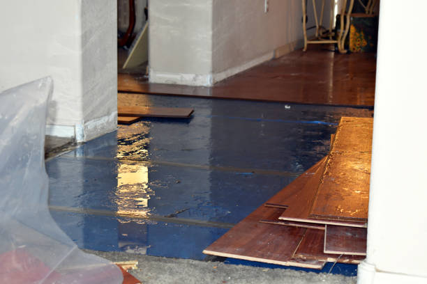 Professional Flood Cleanup technician working in North Dighton, MA